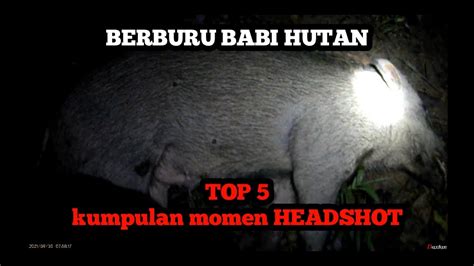 MENEMBAK HAMA BABI HUTAN YouTube