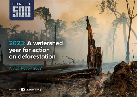 2023: A watershed year for action on deforestation – Forest 500