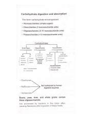 Carbohydrate Digestion And Absorption Pdf Course Hero