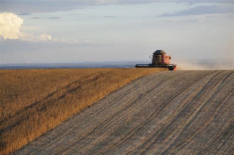 Commodities o que são e como investir nesses ativos