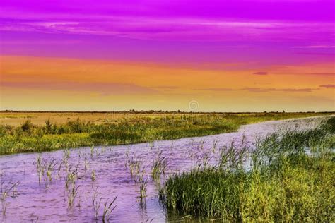 Nature Reserve Camargue In France Stock Image Image Of Land