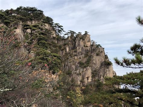 Free Picture Cliff Erosion High Land Megalith Landscape Tree