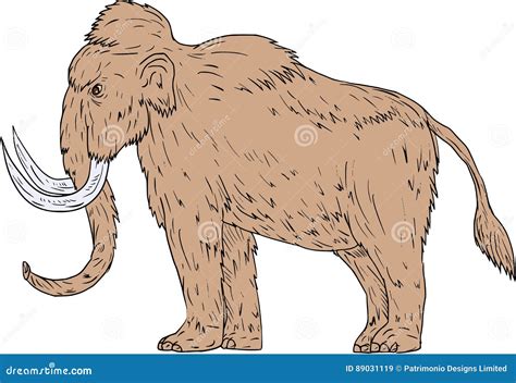 Woolly Mammoth Side Drawing Cartoon Vector | CartoonDealer.com #89031119