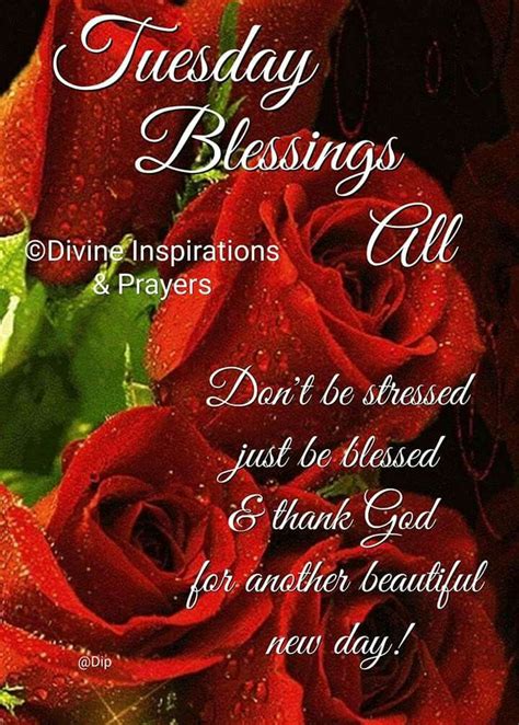 Tuesday Blessings Good Morning Sunday Images Tuesday Quotes Good