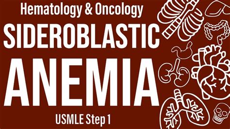 Sideroblastic Anemia Hemeonc Usmle Step 1 Youtube