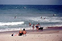 Canaveral National Seashore Playalinda Beach Titusville Florida