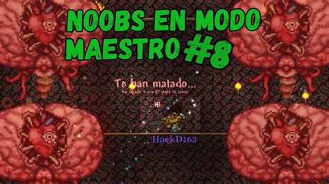 Toca El Cerebro En Modo Maestro Terraria Youtube