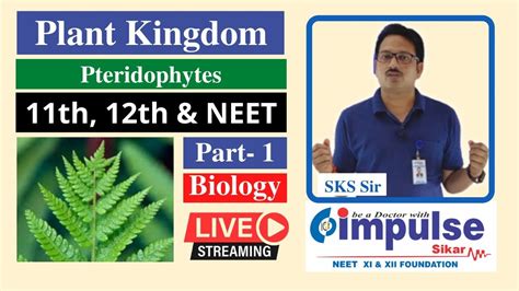 Plant Kingdom Pteridophytes 01 By SKS Sir Biology NEET Class 11