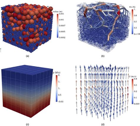 Particle assembly and flow field at the end of suffusion t ¼ 15 s