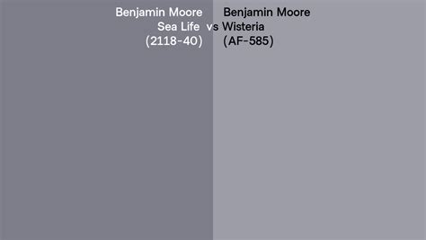 Benjamin Moore Sea Life Vs Wisteria Side By Side Comparison