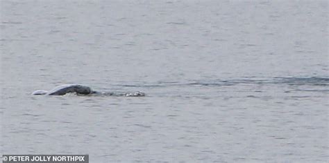 Has The Most Exciting Sighting Yet Of The Elusive Loch Ness Monster Already Been Debunked