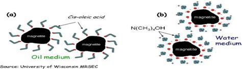 Figure 1 from NON TOXIC AND MEDICINAL APPLICATIONS OF FERROFLUIDS ...