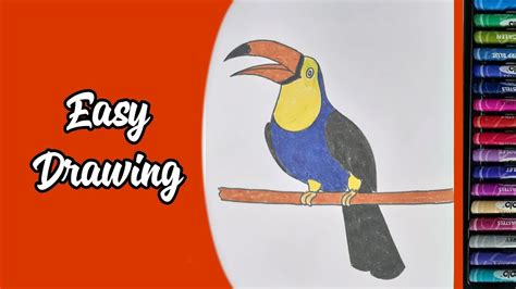 How To Draw A Hornbill Hornbill Birddrawing Bird Drawing Easy