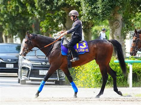 【日本ダービー】ダノンベルーガ 皐月賞4着から“再起” スポニチ競馬web