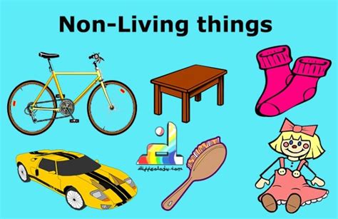 Living and Non Living Things What Makes Difference | Diffeology