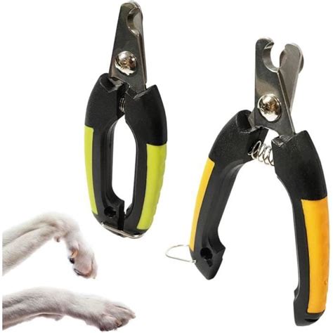 Coupe Ongles Pour Chiens Chats Lapins En Acier Inoxydable V T Rinaire