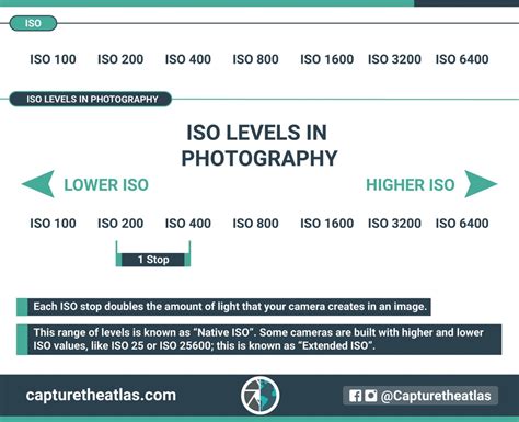 What Is ISO Sensitivity Understanding ISO In Photography