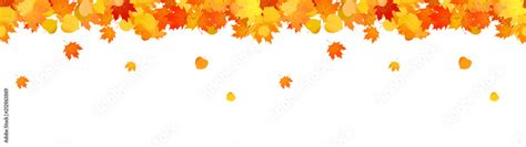 Fall Leaves Header