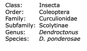 Entomology Final Lecture Exam Flashcards Quizlet