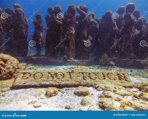 Musa The Museum Of Underwater Art In Isla Mujeres Near Cancun