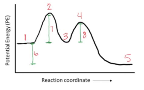 O Chem Final Quizlet Everything Diagram Quizlet