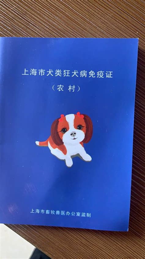 上海文明養寵觀察｜農村犬與城區犬管理之困，如何紓解？ 每日頭條