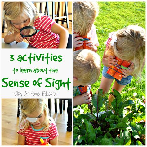 Three preschool sense of sight activities – Artofit