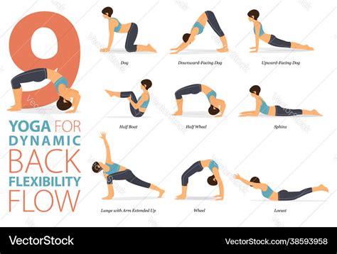 Back Flexibility Exercises