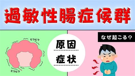 その症状は「過敏性腸症候群」のサインかも？ 異常がない のに起こる腹痛や便秘の正体とは？ （おがちゃん先生） エキスパート Yahoo ニュース