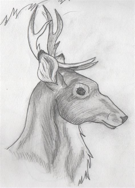 Shaded Reindeer by DrawingMaster1 on DeviantArt