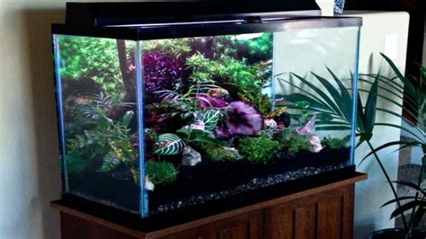 How To Make A Terrarium From An Aquarium Step By Step Guide