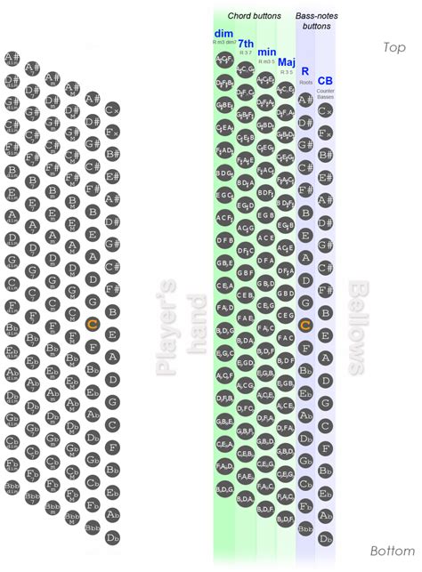 120 Bass Accordion Chart - Diagram, Bass Notes, List of Chords