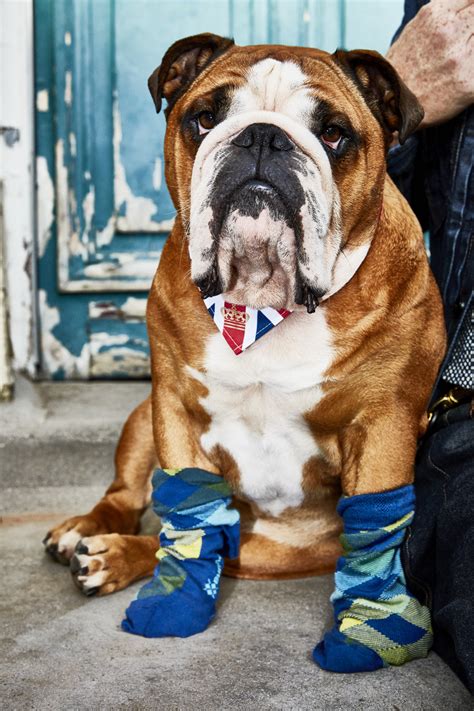 Burlington London / Esther Haase | photography