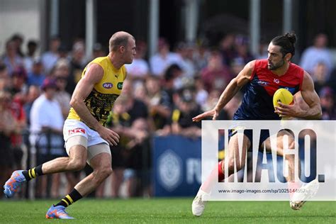 AFL DEMONS TIGERS Brody Grundy Of The Demons Right In Action During