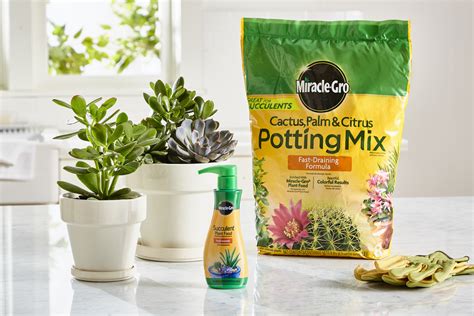 Miracle Gro Cactus Palm And Citrus Potting Mix And Miracle Gro Succulent Plant Food