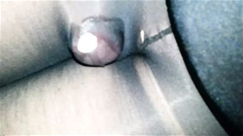 Cumshot Compilation In Pantyhose German Shemale Amateur Porn XHamster