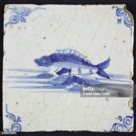 tile fish   premium high res pictures getty images