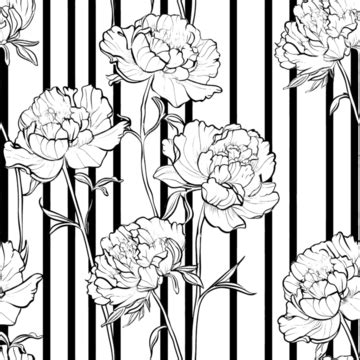 Doodle Line Art Peony Flower Bouquet On Black Strip Line Seamless