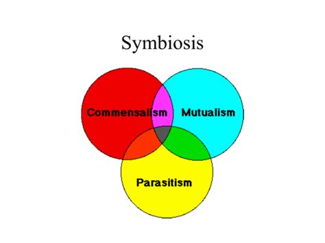 Symbiosis