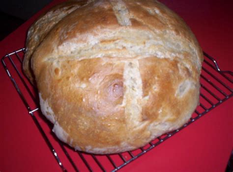 Classic San Francisco Sourdough Bread Recipe - Food.com