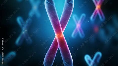 Vid O Stock X And Y Chromosome On Blue Background Chromosomes With Dna