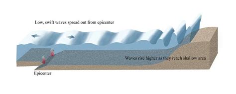 Tsunami Diagram | Natural Disasters: Hurricanes, Tsunamis, Earthquakes | PBS LearningMedia