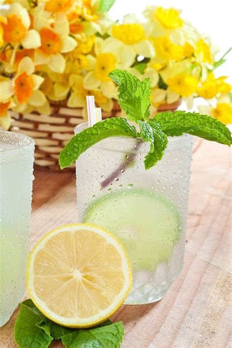 Glass Of Beverage Stock Image Image Of Enlivening Leaf 11146935