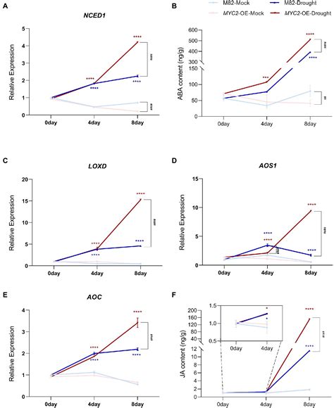 Frontiers Slmyc Mediates Stomatal Movement In Response To Drought