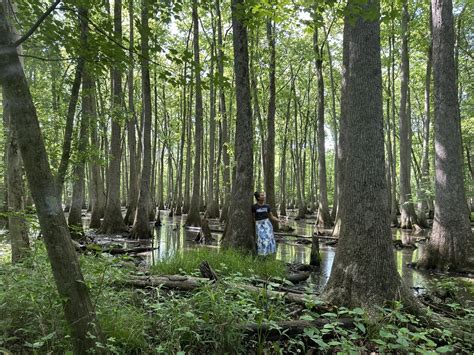 Protect Oak Flat: Understanding What's at Stake - The National Wildlife