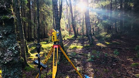 Enchanted Forest Pitlochry Survey Solutions