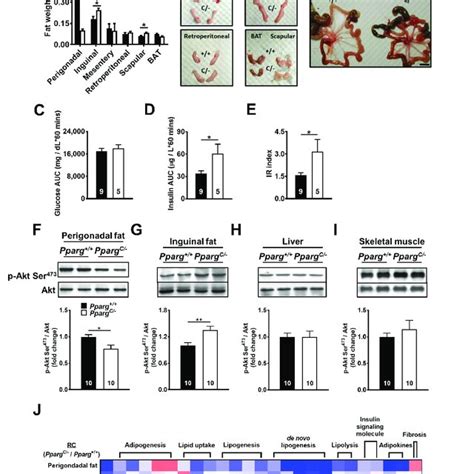 Insulin Sensitivity And MRNA Levels Of Metabolic Genes In HFD Fed Pparg