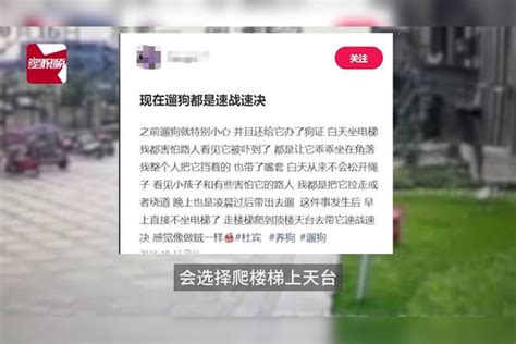 女童遭恶犬咬伤后，养狗人称不敢带狗坐电梯只凌晨遛狗，有网店狗嘴套卖断货