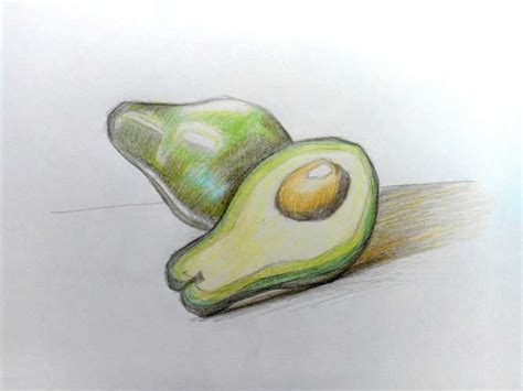 Avocado drawing: Easy, Cute and Step By Step