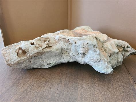 Reptile Habitat Texas Limestone Rock Fish Aquarium Terrarium Decor for